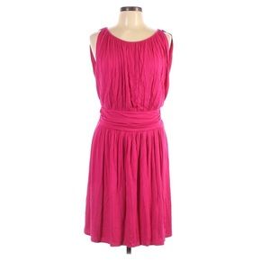 Express | Pink Dress